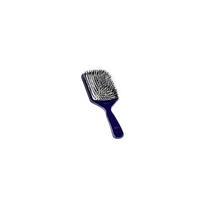 Acca Kappa Plastic Blue and Pure Boar and Nylon Bristles Brush