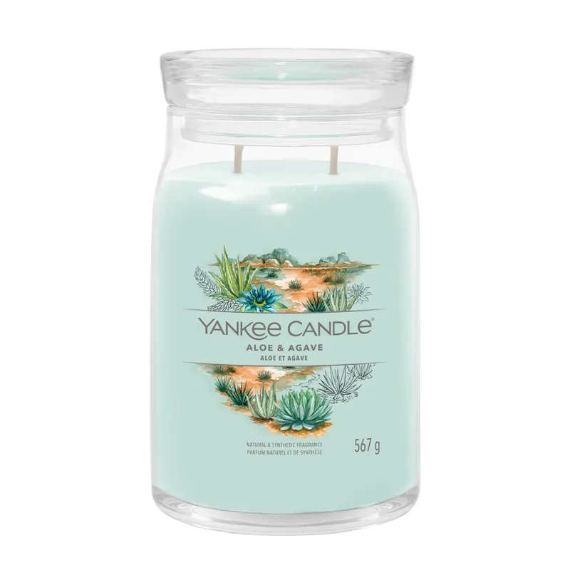 Aloe & Agave LARGE YANKEE CANDLE | Pinalli