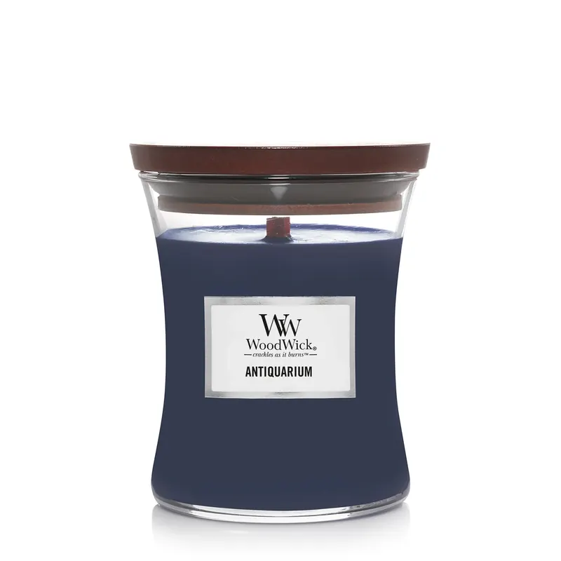 Antiquarium MEDIUM WOODWICK | Pinalli