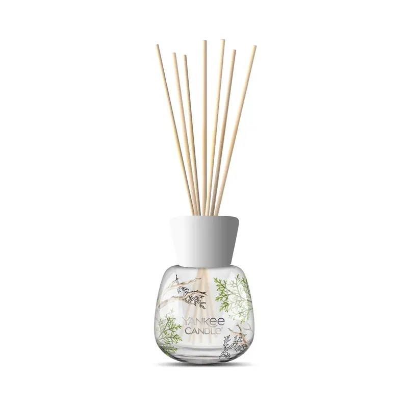 Bayside Cedar 100ml YANKEE CANDLE | Pinalli