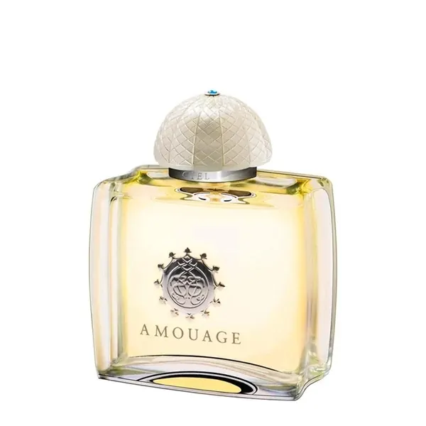 Ciel 100ml AMOUAGE | Pinalli