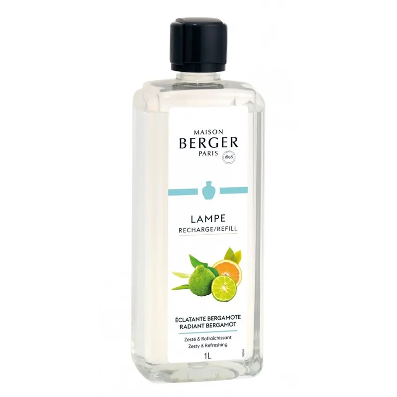 copy of Maison Berger Paris 1898 Terre D'Épices Home Perfume 1L
