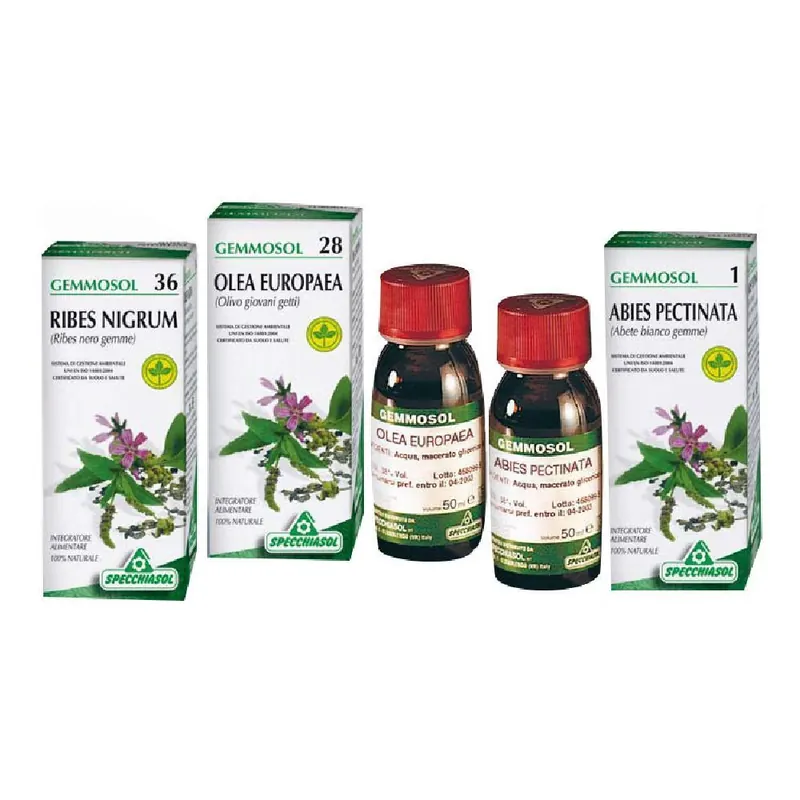 Gemmosol Linfa di Betulla