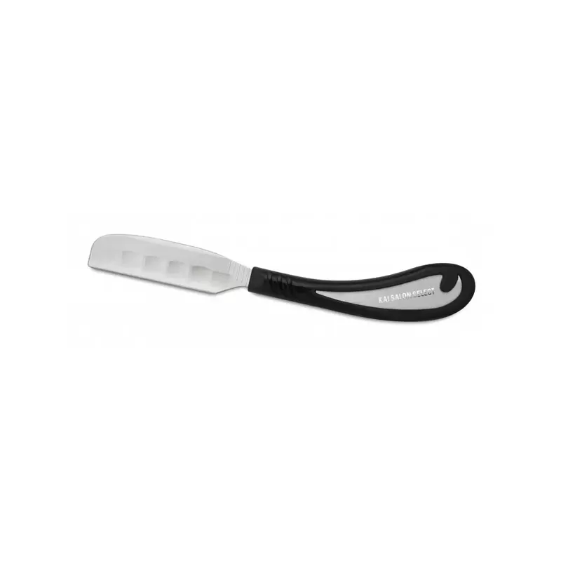 Kai Captain Straight Razor Salon Select Japan Style