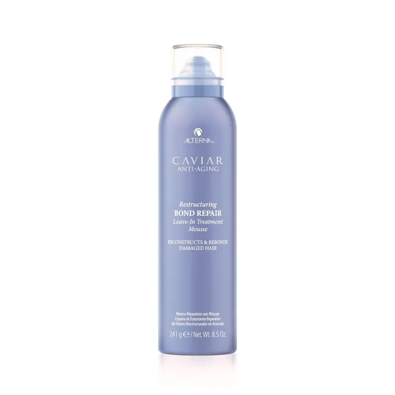 Leave-In Treatment Mousse 241gr ALTERNA | Pinalli