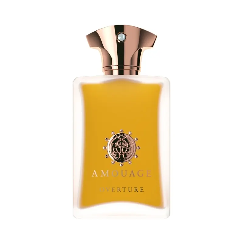 Overture Man 100ml AMOUAGE | Pinalli
