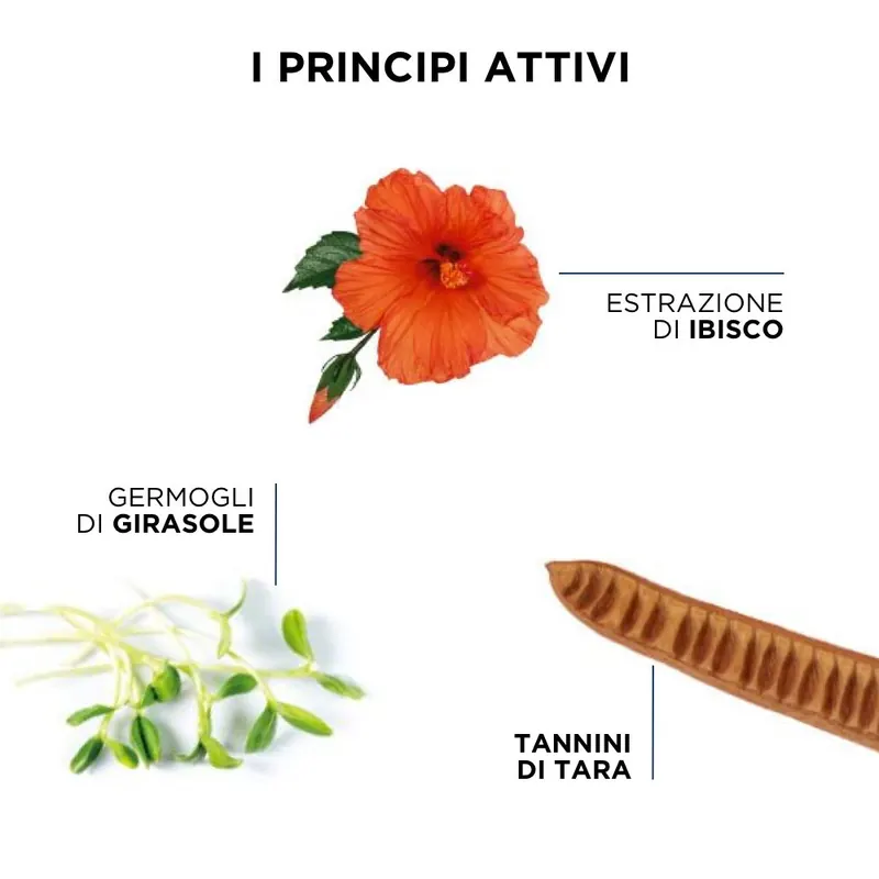 PHYTO Color Shampoo Protettivo Del Colore