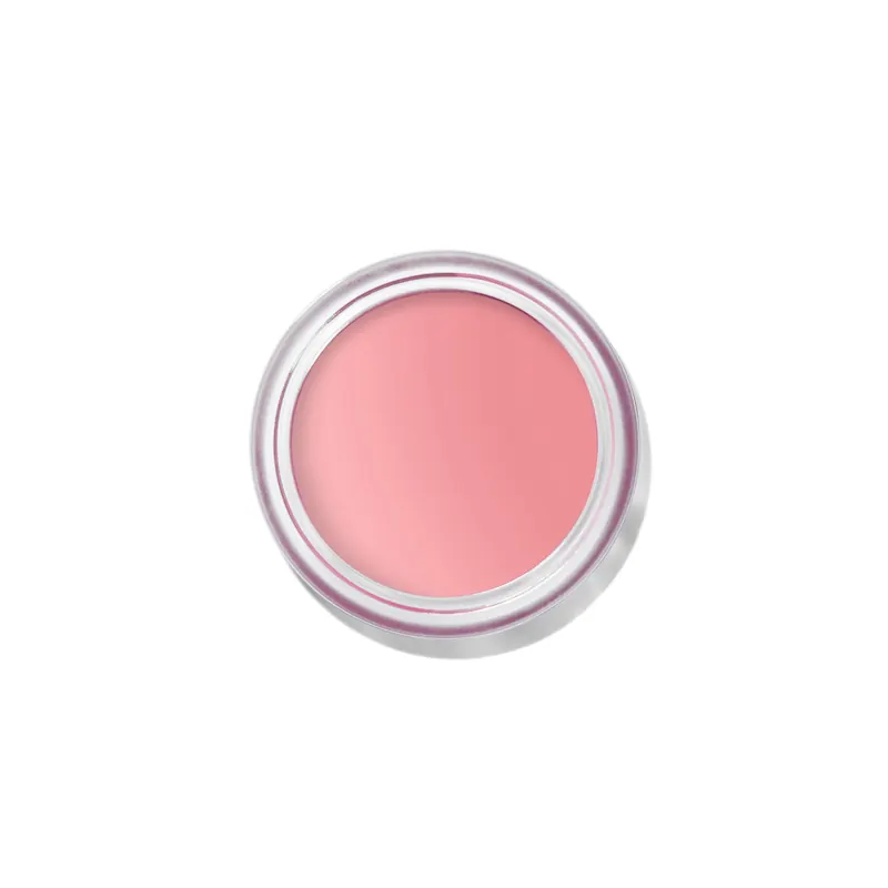 Pot Rouge Velvet Matte Petal Pink BOBBI BROWN | Pinalli