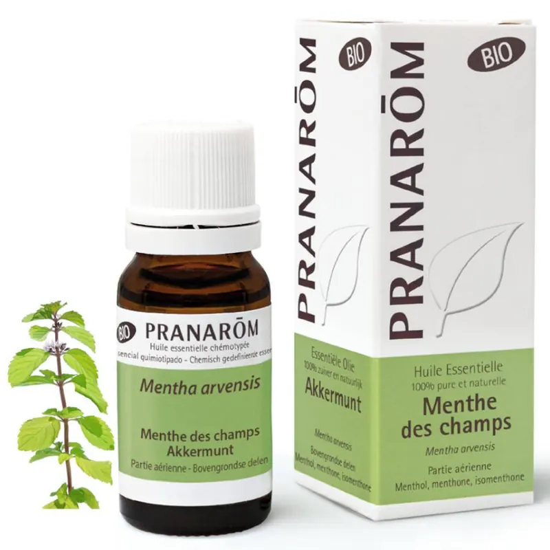 PRANARÔM Menta Campestre Bio