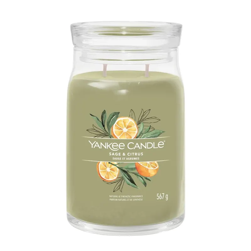 Sage & Citrus LARGE YANKEE CANDLE | Pinalli