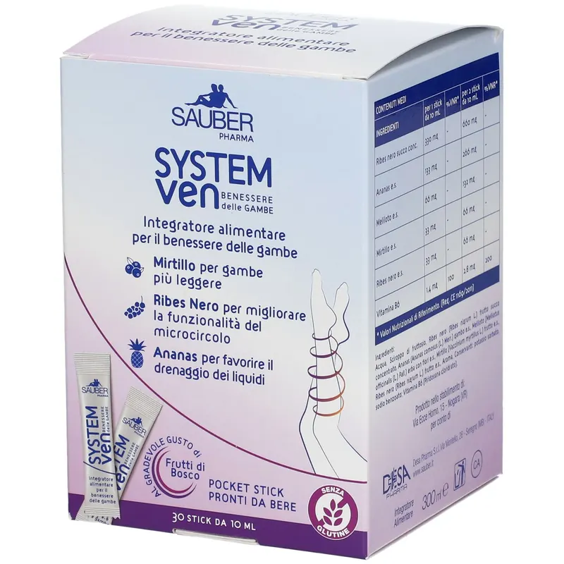 SAUBER SYSTEM VEN