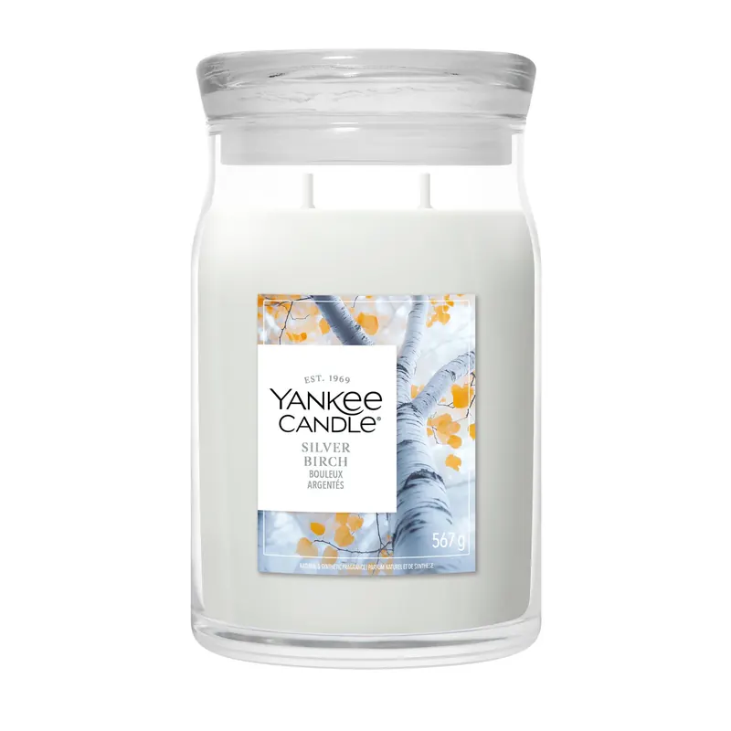 Silver Birch LARGE YANKEE CANDLE | Pinalli