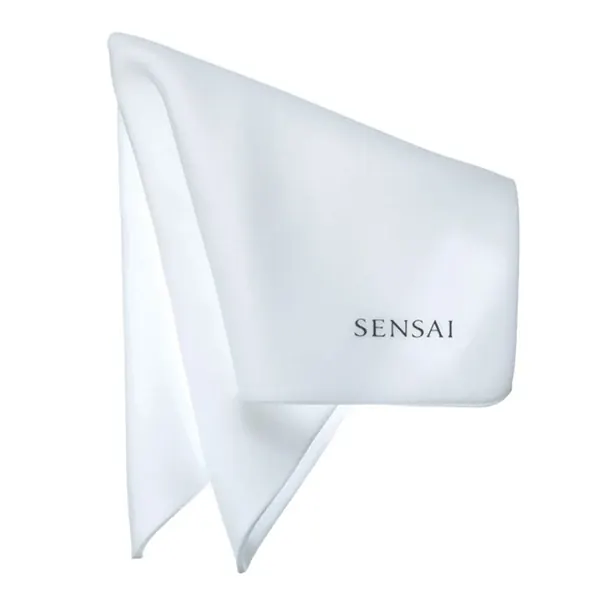 Sponge Chief 1pz SENSAI | Pinalli