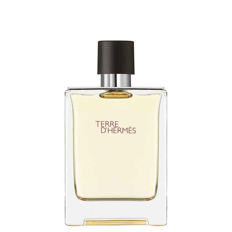 Terre d'Hermès 100ml HERMÈS | Pinalli