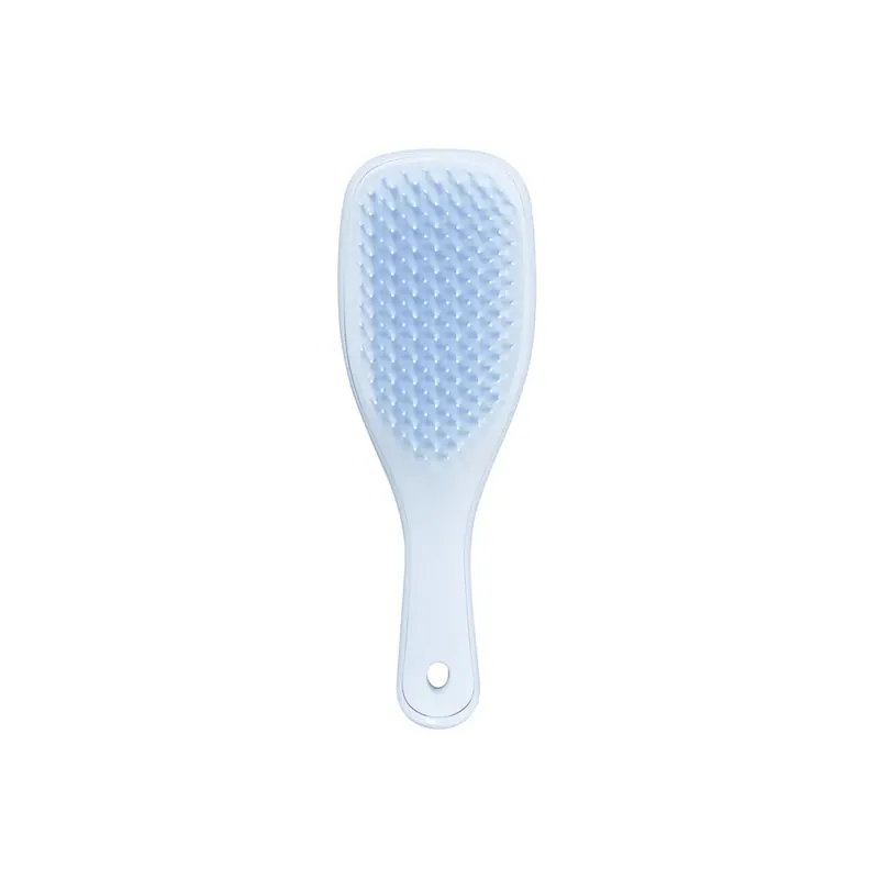 The Wet Detangler Mini TANGLE TEEZER | Pinalli